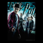 Harry Potter con Dumbledore Ron y Hermione 1 posters
