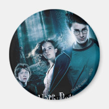 Harry Potter Ron Hermione en bosque Imán Para Frigorífico