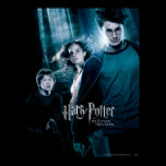 Harry Potter Ron Hermione en bosque posters
