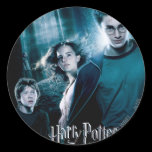 Harry Potter Ron Hermione en bosque pegatinas