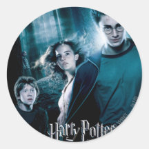 Harry Potter Ron Hermione en bosque Pegatinas Redondas