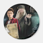 Harry Potter y Dumbledore Imán Para Frigorifico