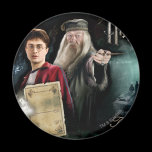 Harry Potter y Dumbledore imanes