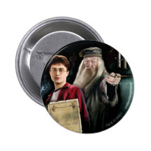 Harry Potter y Dumbledore Pin
