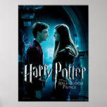 Harry y Ginny 1 Posters