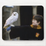 Harry y Hedwig 3 Tapetes De Ratones