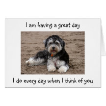 HAVANESE ESTÁ TENIENDO CUMPLEAÑOS DE UN GRAN DAY-T TARJETÓN