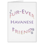 Havanese Furever Tarjetón