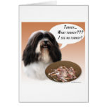 Havanese Turquía Felicitaciones