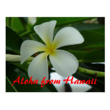 Hawaiana de Hawaii Tarjeta Postal