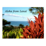 Hawaiana de Lanai Hawaii Postales