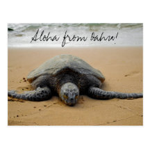¡Hawaiana de Oahu! Postal con la tortuga de mar