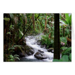 Hawaii la isla grande felicitacion 