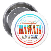 Hawaii Pin