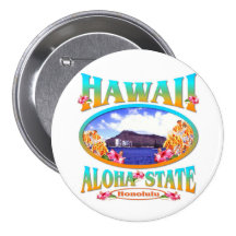 Hawaii Pins