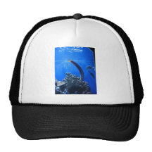 Hawaii subacuática gorros bordados