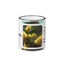 Hay algo a pescado sobre este lugar tazas