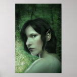 Hay mágico en el bosque poster