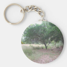 Hay un dinosaurio en el bosque… llavero