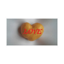 Heart-Love2 Impresiones En Lona