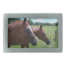 Hebilla del cinturón de 2 caballos hebilla de cinturon rectangular