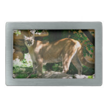 Hebilla del cinturón de la foto del puma hebilla cinturón