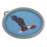 Hebilla del cinturón patriótica de Eagle calvo de  Hebillas Cinturón Ovales
