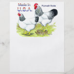 Hecho en los E.E.U.U.:  Rocas colombinas Flyer A Todo Color