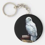 Hedwig en los libros llaveros personalizados