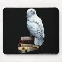 Hedwig en los libros tapetes de ratones