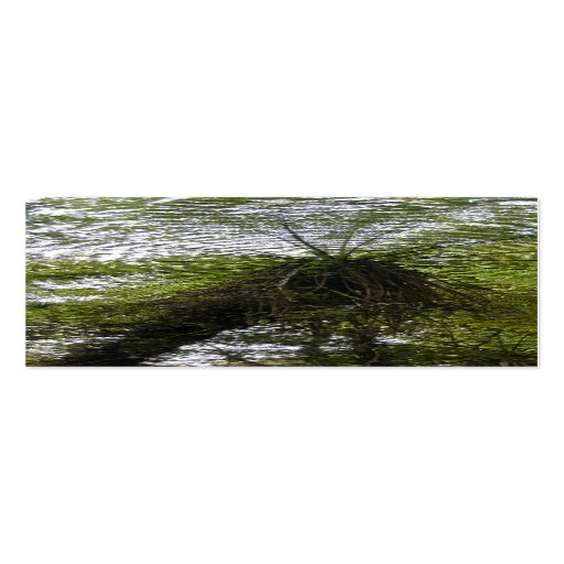 Helecho de árbol plantillas de tarjeta de negocio
