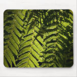 Helecho • Mousepad Tapete De Ratón