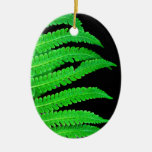 Helecho negro y verde ornaments para arbol de navidad