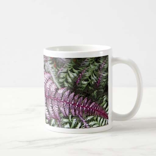 helecho pintado tazas de café