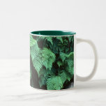 Helechos del helecho tazas de café