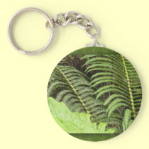 Helechos tropicales llaveros