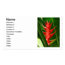 Heliconia hawaiano tarjeta de negocio