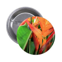 Heliconia tropical brillante floral pins