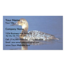 Hembra del Canvasback Plantillas De Tarjeta De Negocio