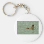 Hembra del mayor Scaup Llaveros Personalizados