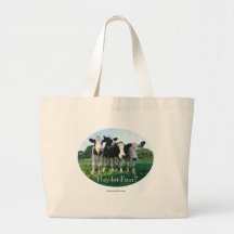 Heno-para-Cuatro Bolsas