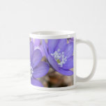 Hepatica Nobil Tazas De Café