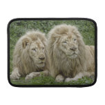 Hermanos del león fundas MacBook