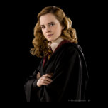 Hermione Granger erudito posters