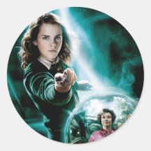 Hermione Granger y profesor Umbridge Pegatinas Redondas