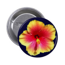 Hibisco colorido pin