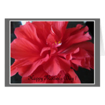 Hibisco del día de madre tarjetas