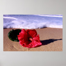 Hibisco en la marea impresiones