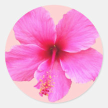 Hibisco Etiqueta Redonda