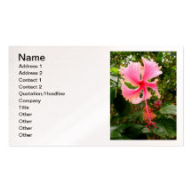 Hibisco hawaiano plantilla de tarjeta de visita